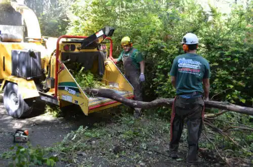 tree services Humboldt